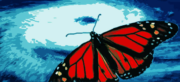 mariposa mariposa