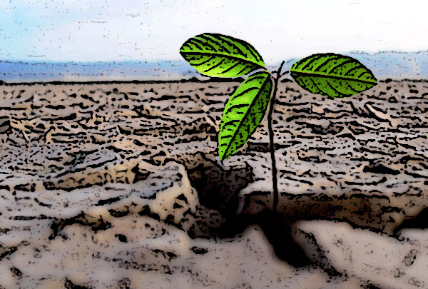 resiliencia 002 resiliencia 001